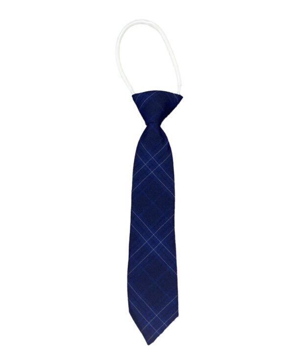 Rosary Park CS School Ties